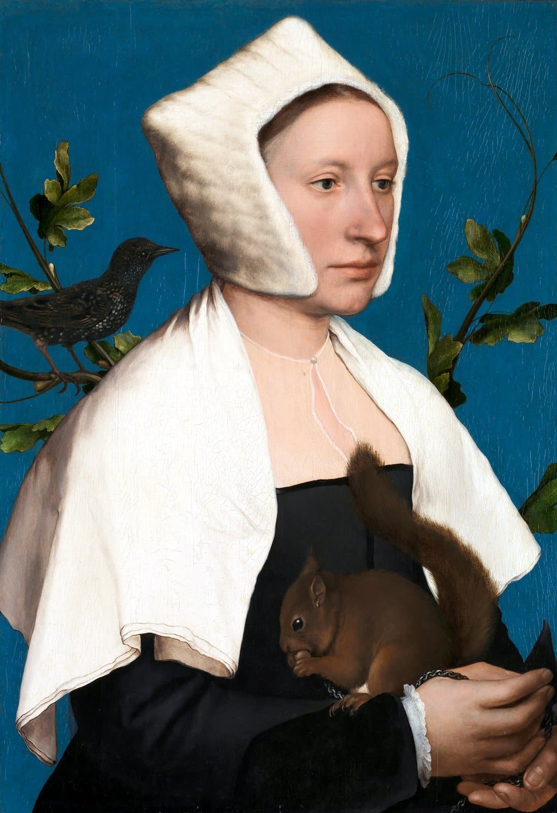 A Lady with a Squirrel and a Starling (Anne Lovell?) by Hans Holbein the Younger (c. 1526–1528). Holbein's lady is composed, finished, sittable. The squirrel and starling are accessories — small private creatures kept close to a public face.